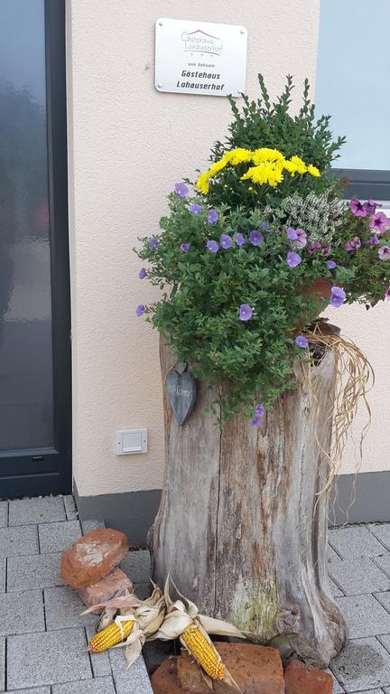 Lohauserhof - Biohof und Hotel Rohrmoos Exterior foto